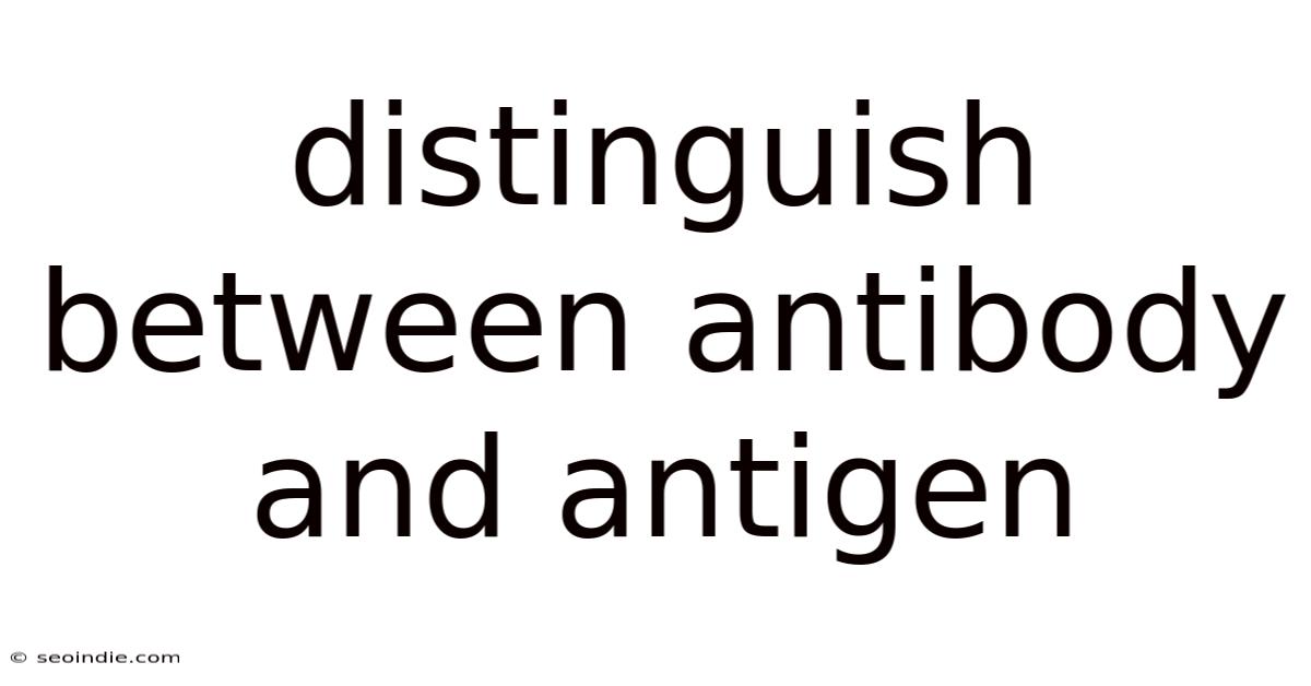 Distinguish Between Antibody And Antigen