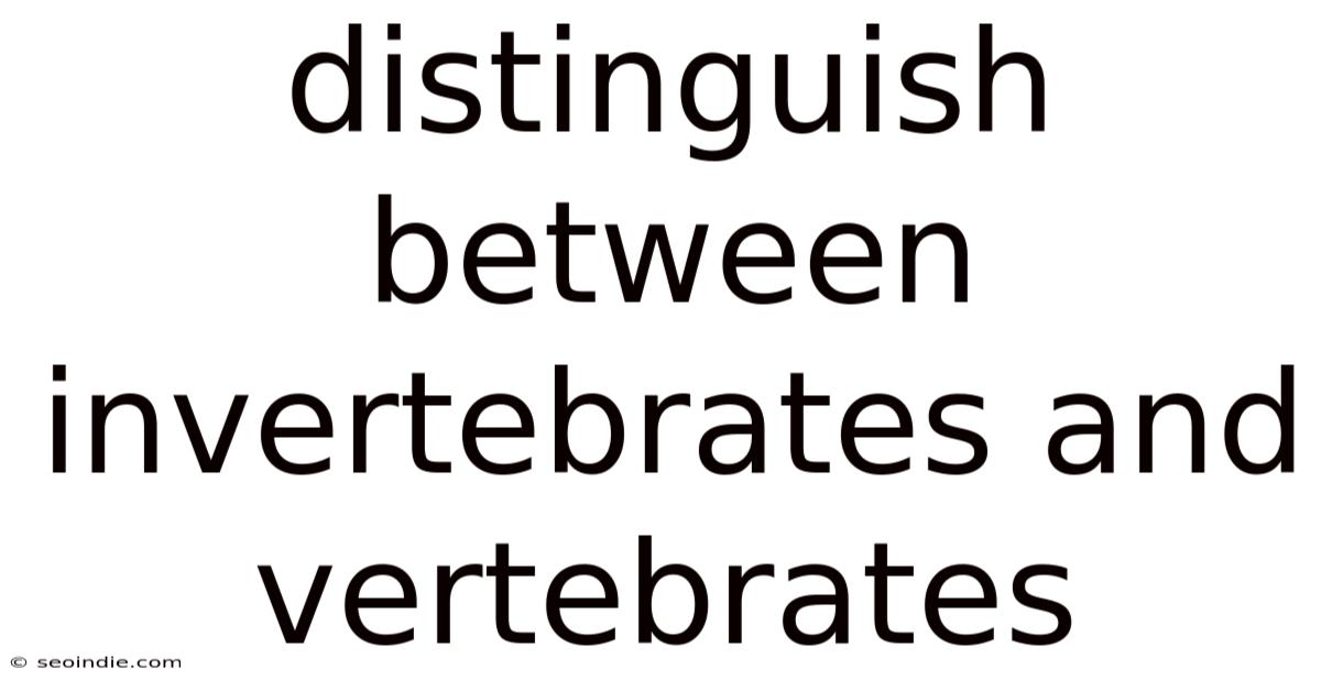 Distinguish Between Invertebrates And Vertebrates