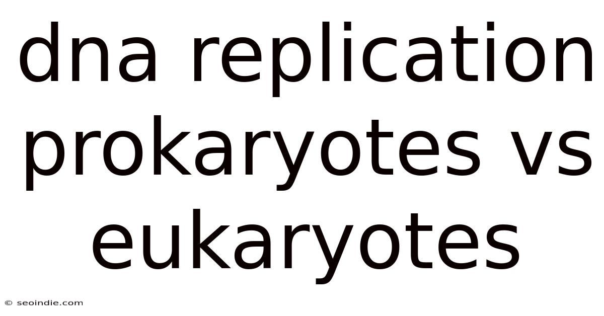Dna Replication Prokaryotes Vs Eukaryotes