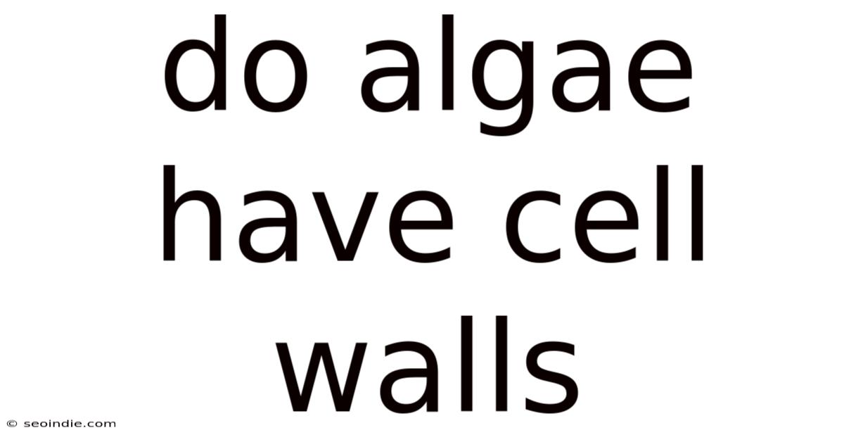 Do Algae Have Cell Walls