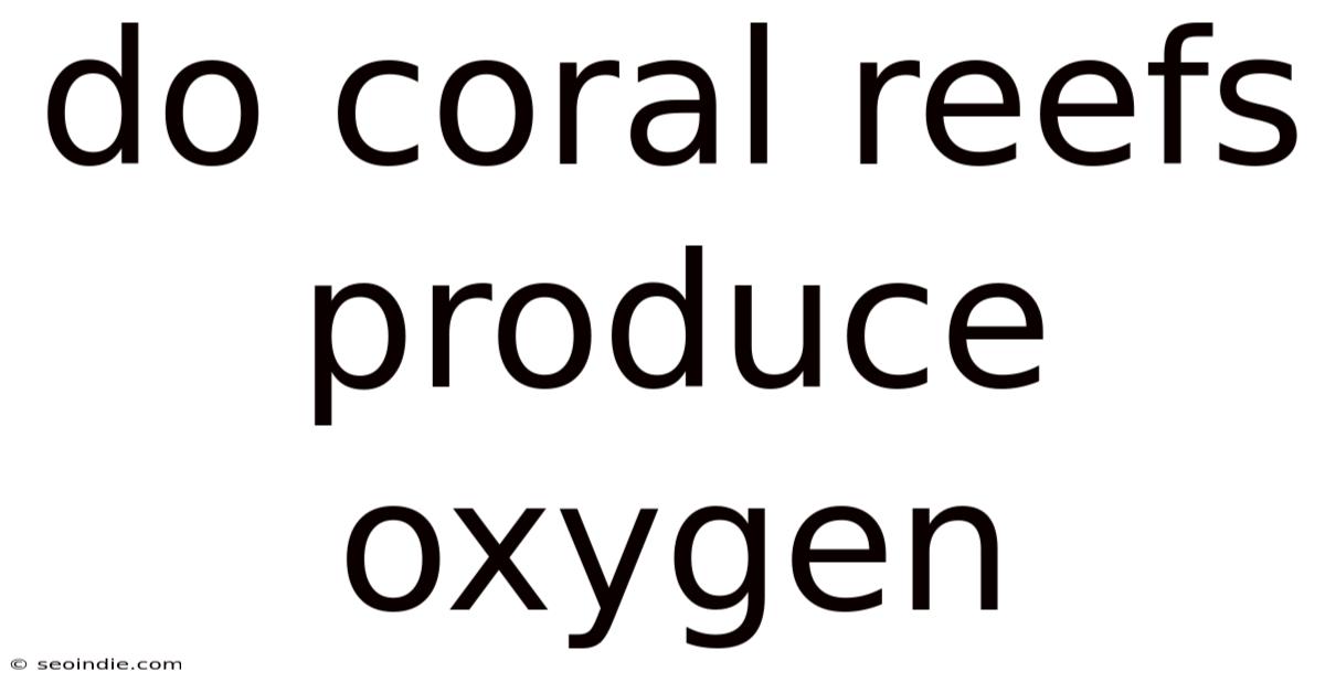 Do Coral Reefs Produce Oxygen