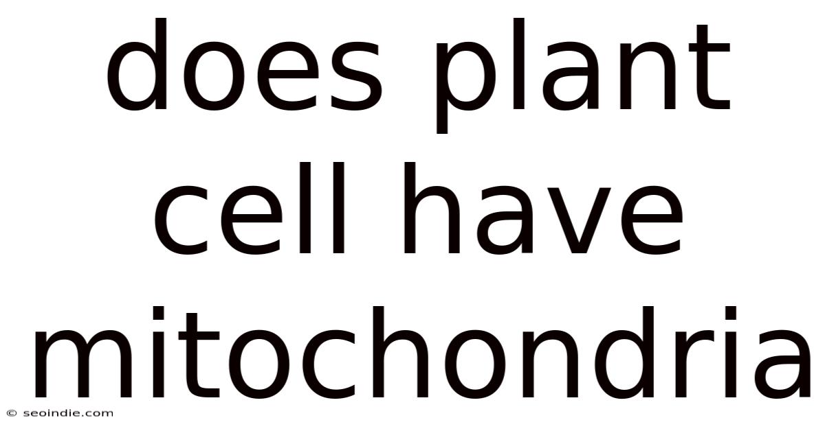 Does Plant Cell Have Mitochondria