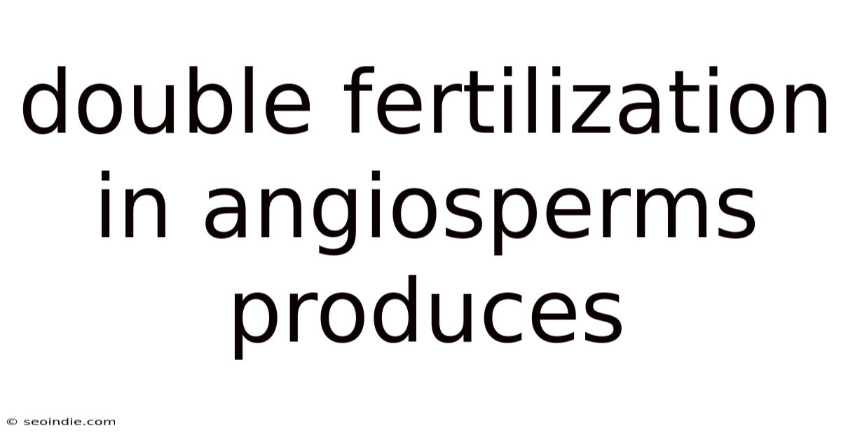 Double Fertilization In Angiosperms Produces
