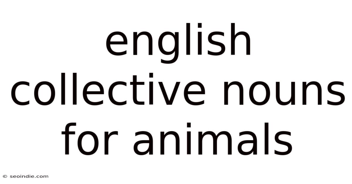 English Collective Nouns For Animals