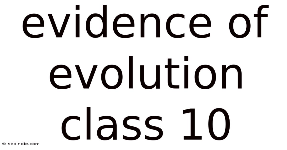 Evidence Of Evolution Class 10