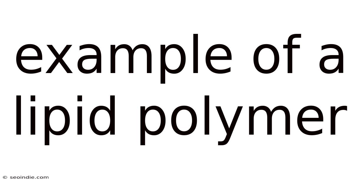 Example Of A Lipid Polymer