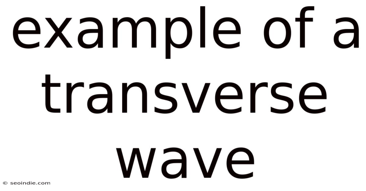 Example Of A Transverse Wave