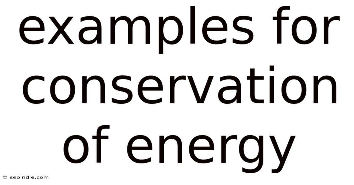 Examples For Conservation Of Energy
