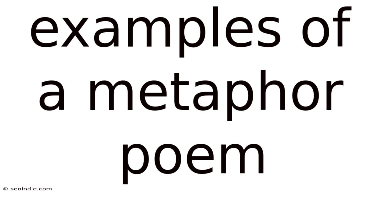 Examples Of A Metaphor Poem