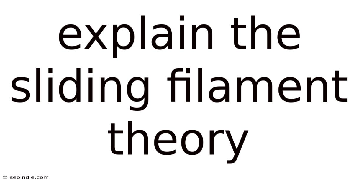 Explain The Sliding Filament Theory