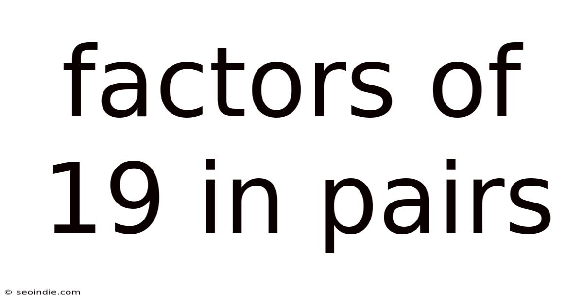 Factors Of 19 In Pairs