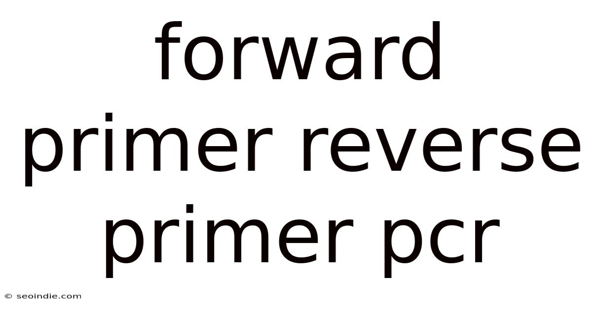 Forward Primer Reverse Primer Pcr
