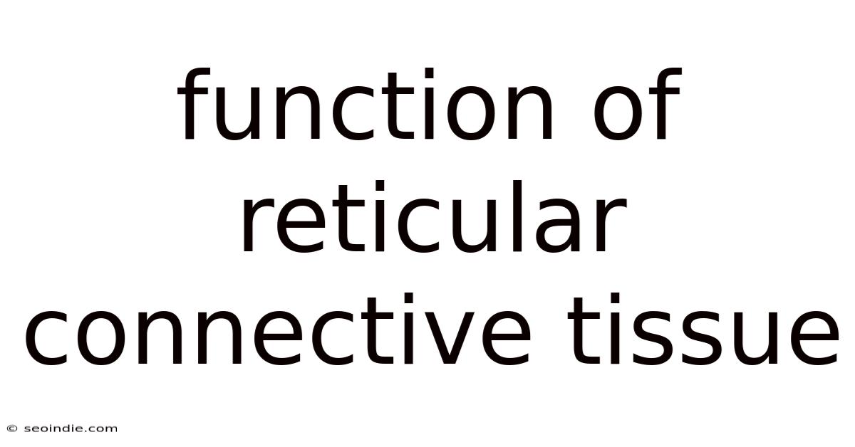 Function Of Reticular Connective Tissue