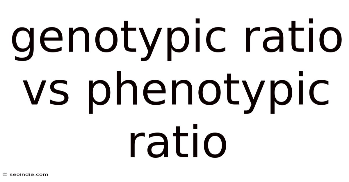 Genotypic Ratio Vs Phenotypic Ratio