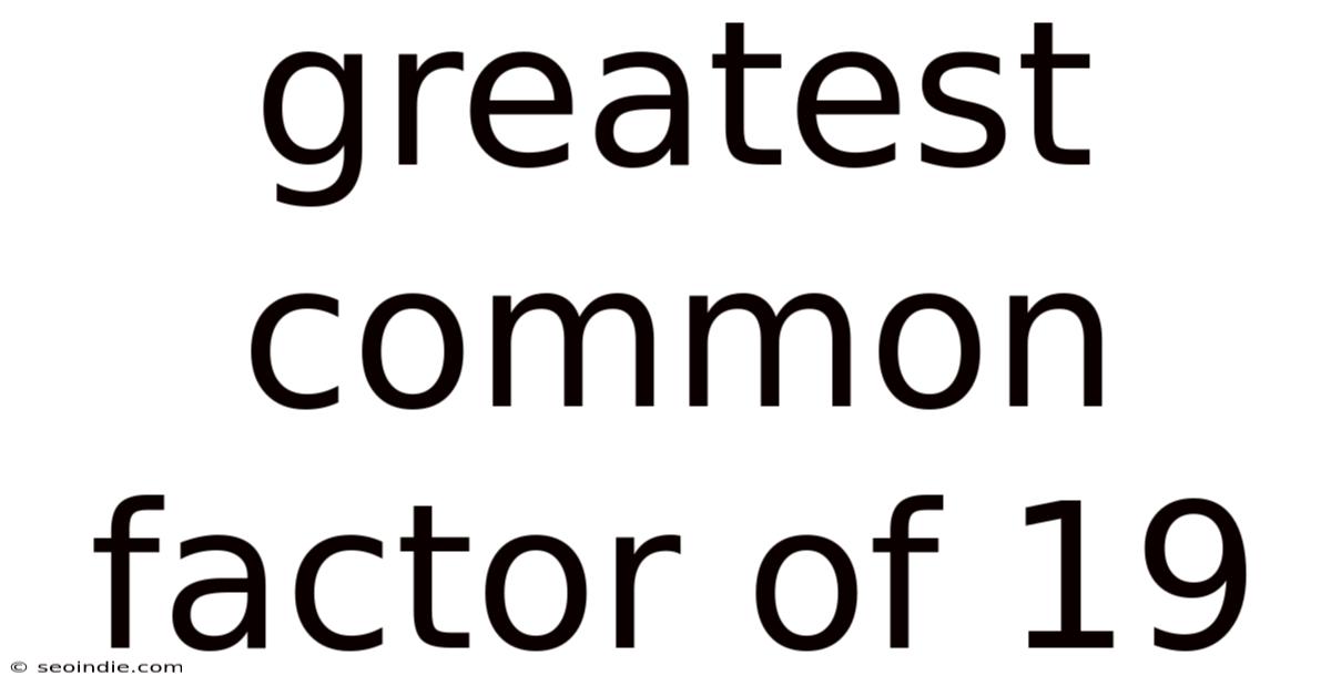 Greatest Common Factor Of 19