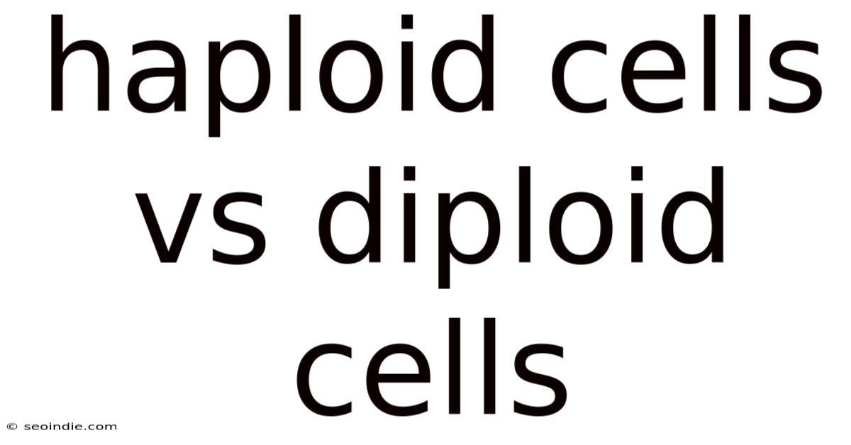 Haploid Cells Vs Diploid Cells