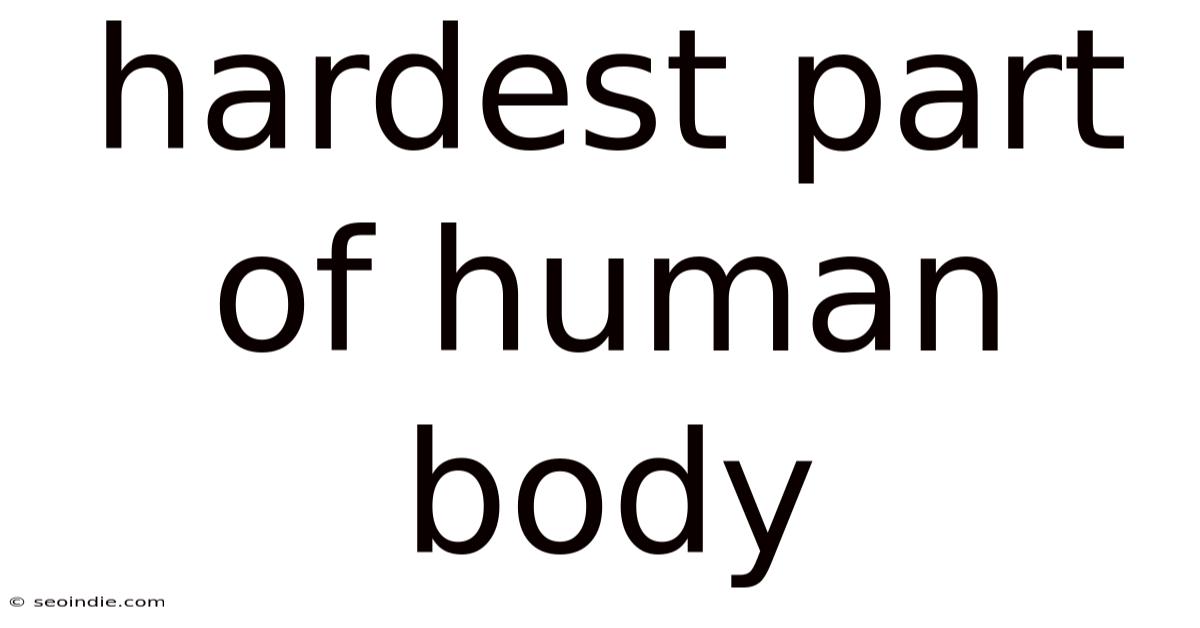 Hardest Part Of Human Body