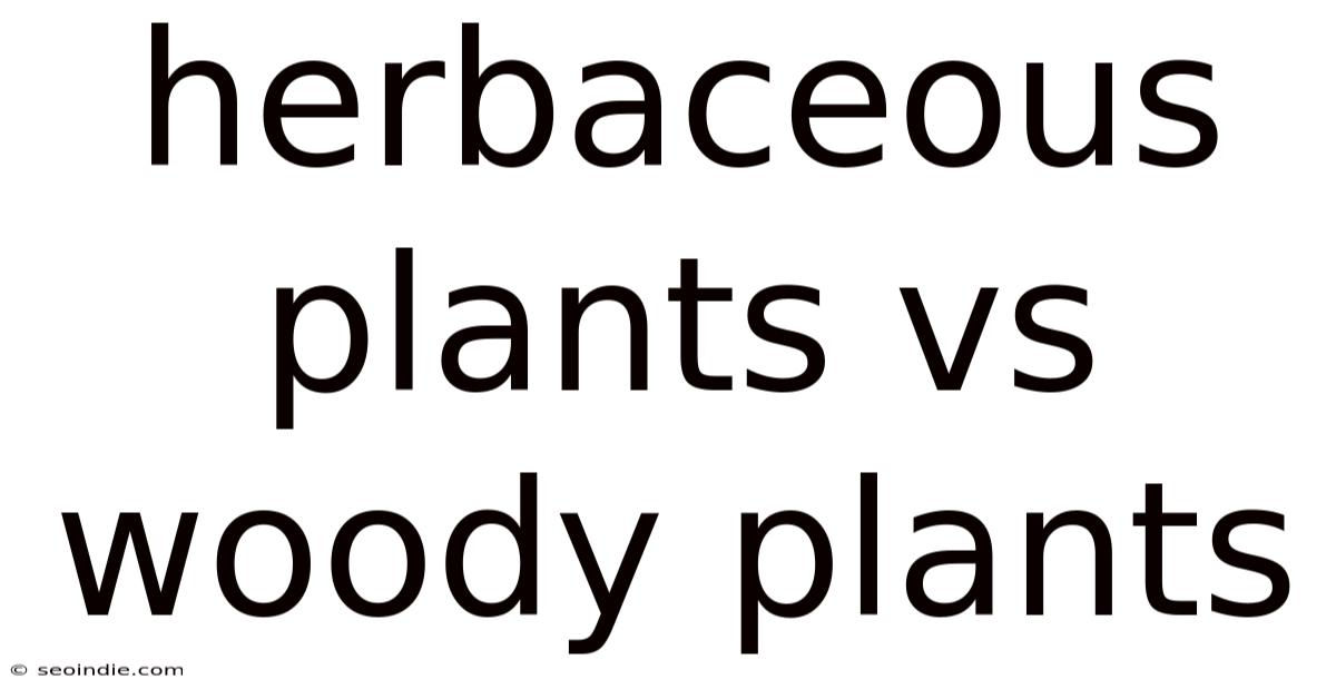 Herbaceous Plants Vs Woody Plants