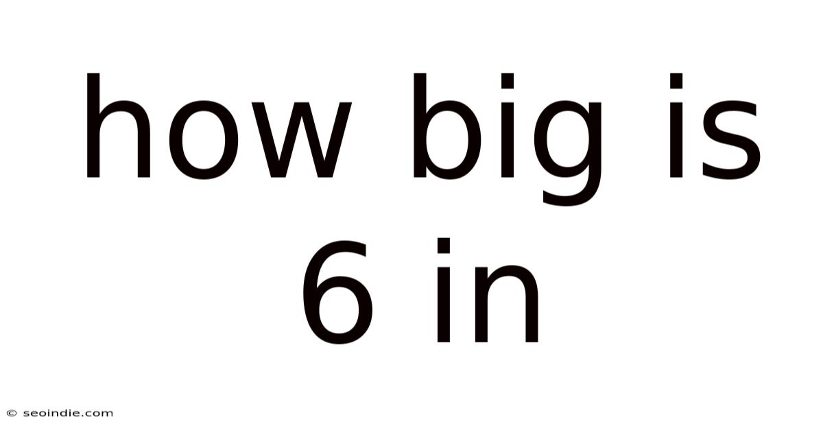 How Big Is 6 In