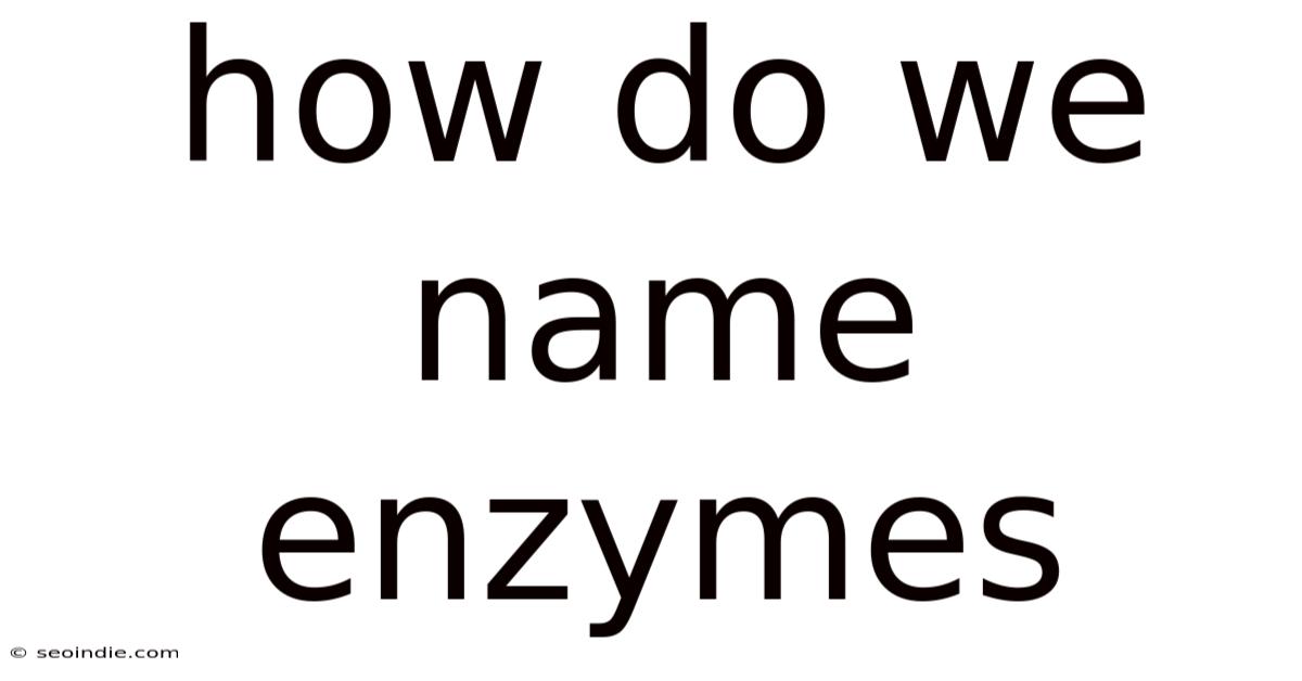 How Do We Name Enzymes