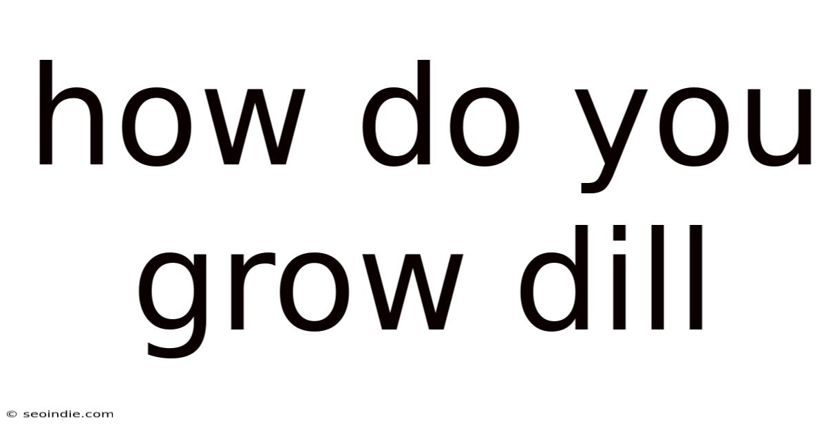 How Do You Grow Dill