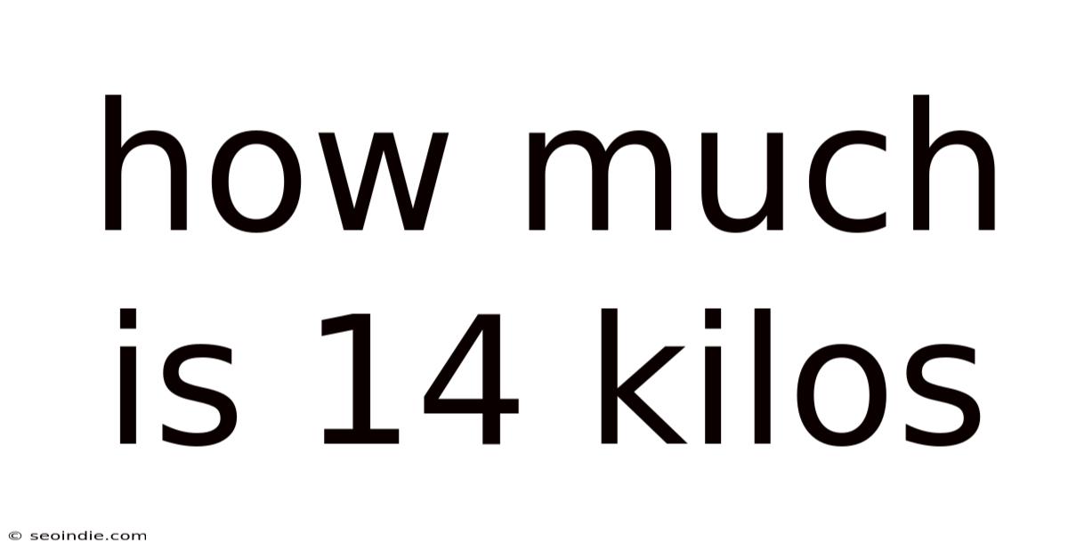 How Much Is 14 Kilos