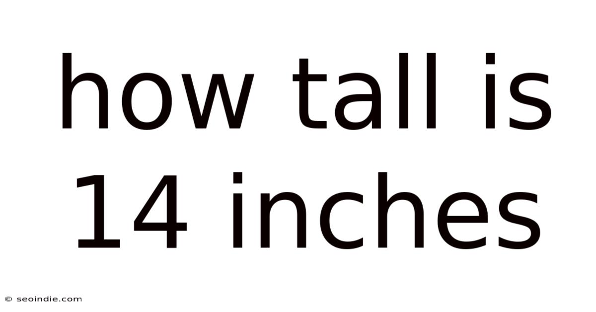 How Tall Is 14 Inches