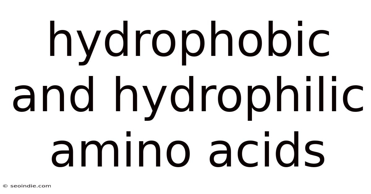 Hydrophobic And Hydrophilic Amino Acids
