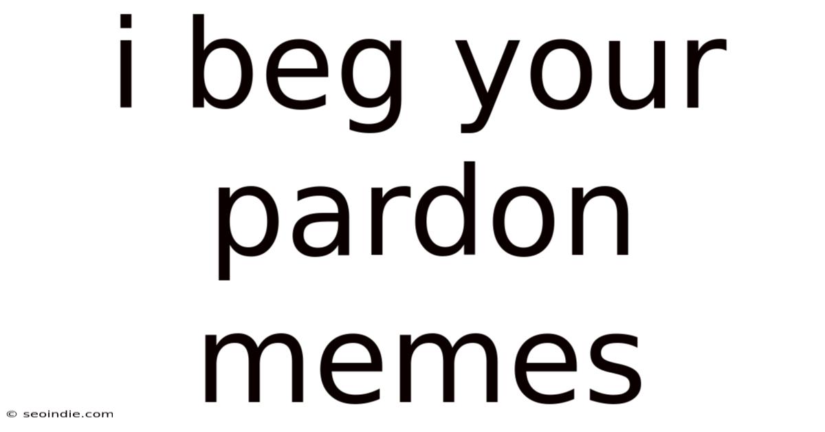 I Beg Your Pardon Memes