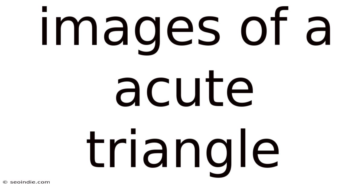 Images Of A Acute Triangle