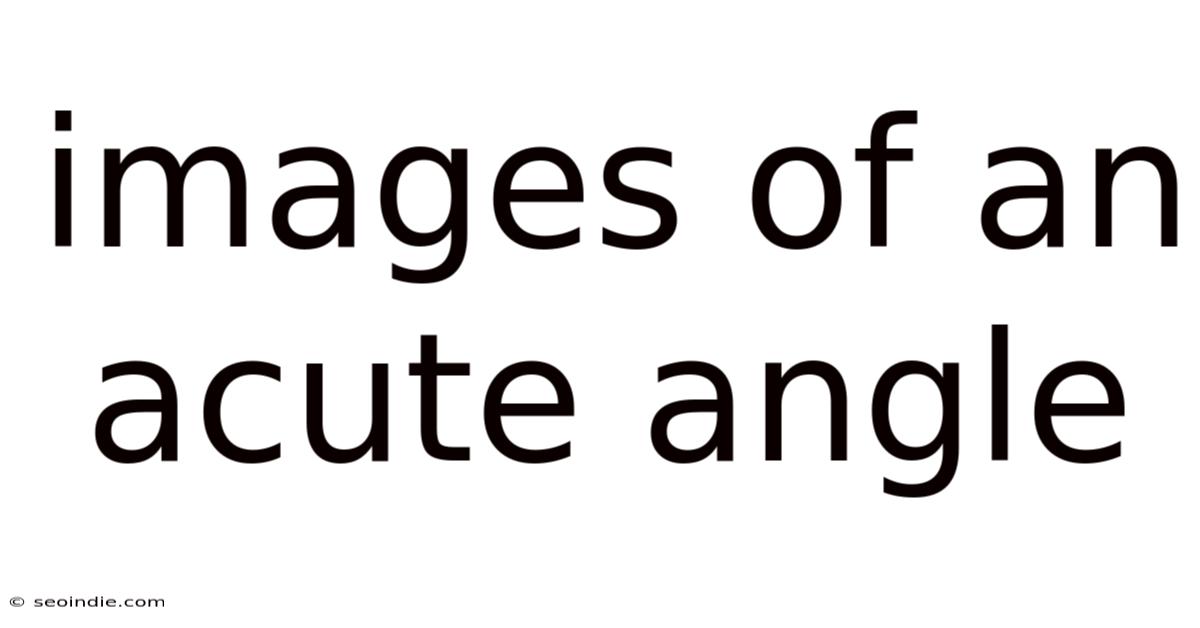 Images Of An Acute Angle