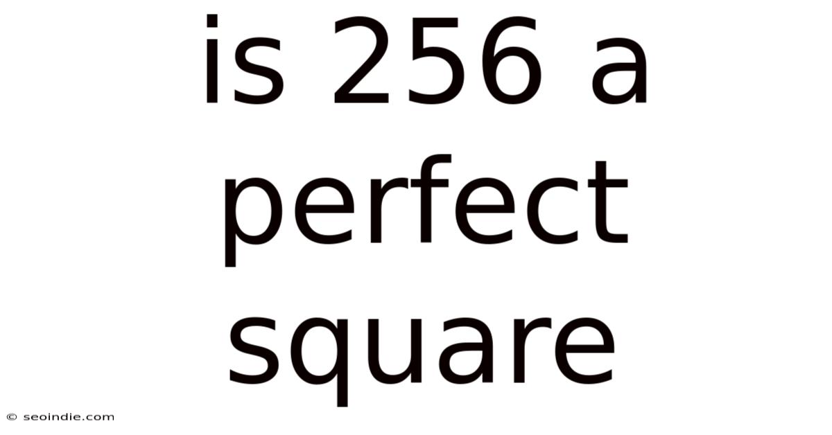 Is 256 A Perfect Square