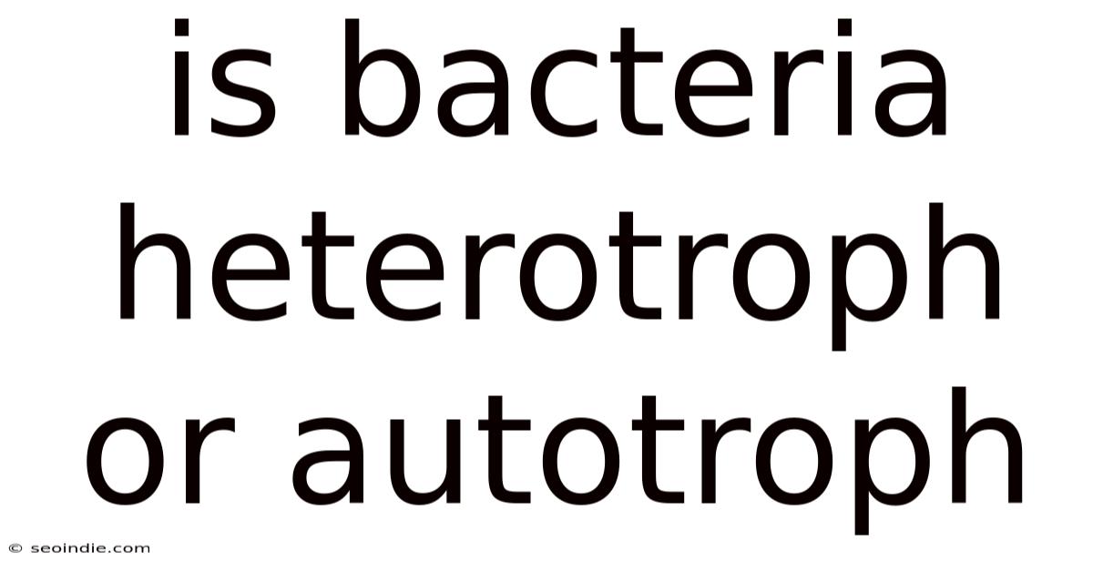 Is Bacteria Heterotroph Or Autotroph