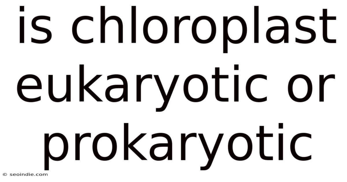 Is Chloroplast Eukaryotic Or Prokaryotic