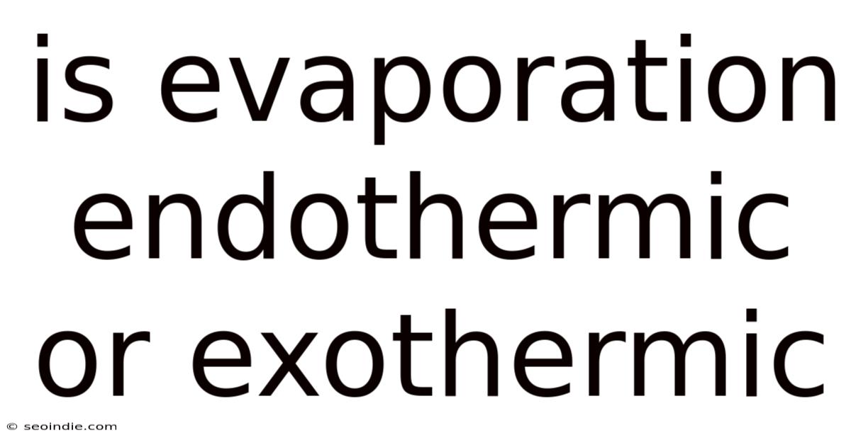Is Evaporation Endothermic Or Exothermic