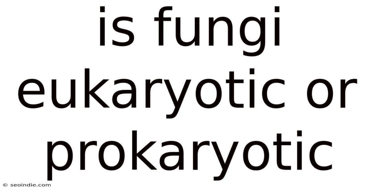 Is Fungi Eukaryotic Or Prokaryotic