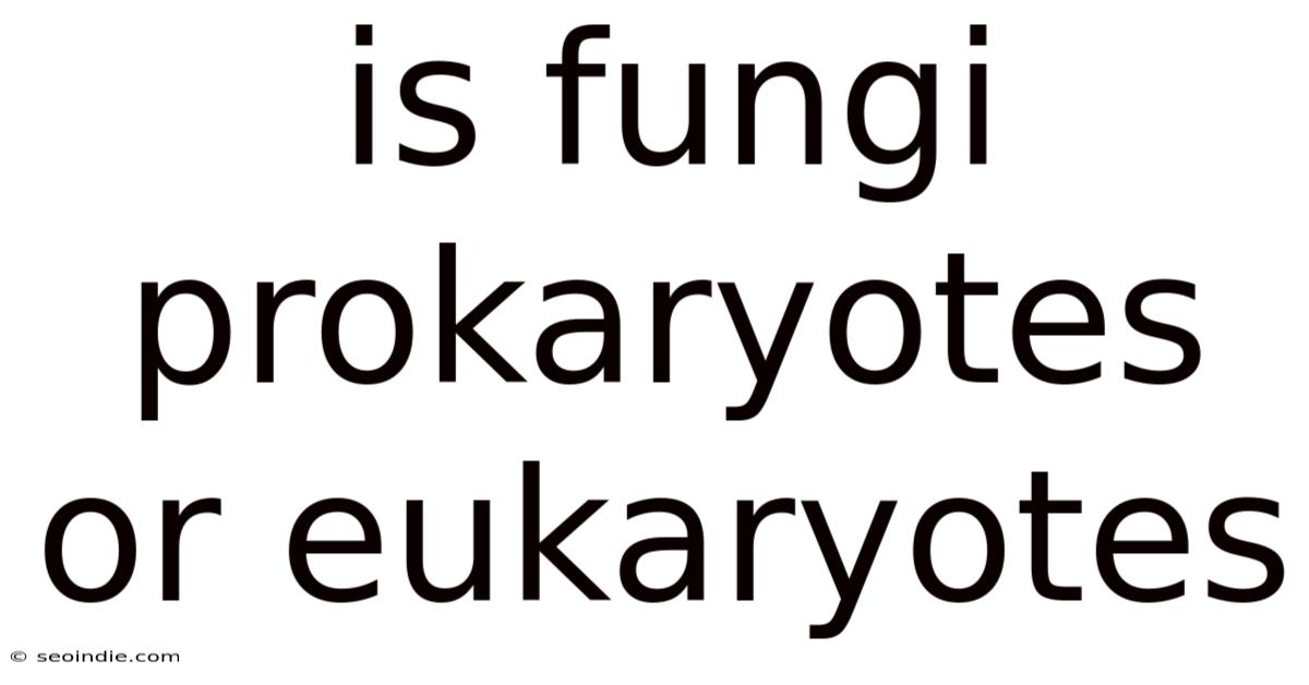 Is Fungi Prokaryotes Or Eukaryotes