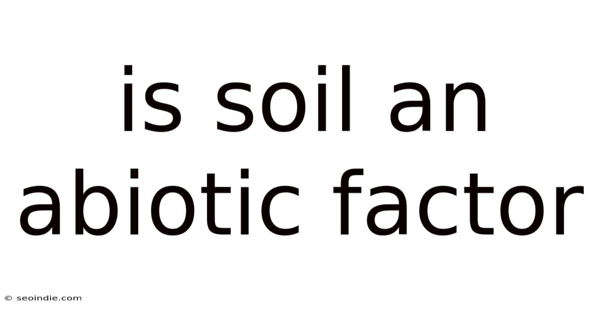 Is Soil An Abiotic Factor