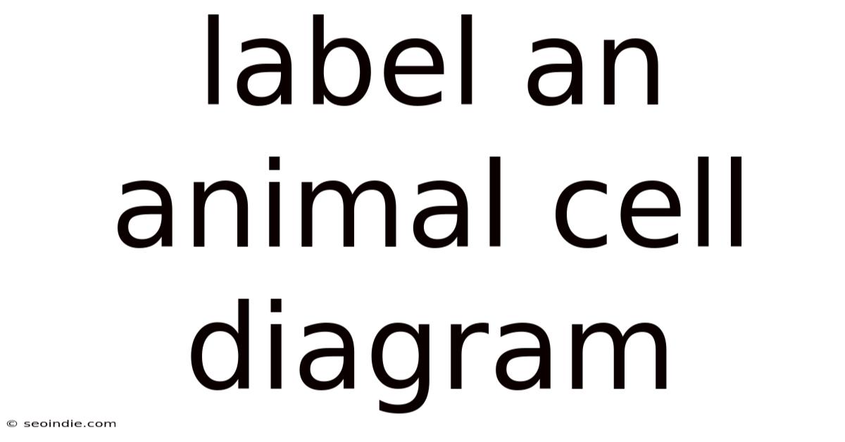 Label An Animal Cell Diagram