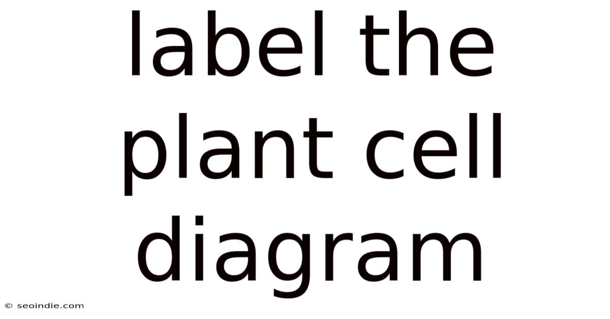 Label The Plant Cell Diagram