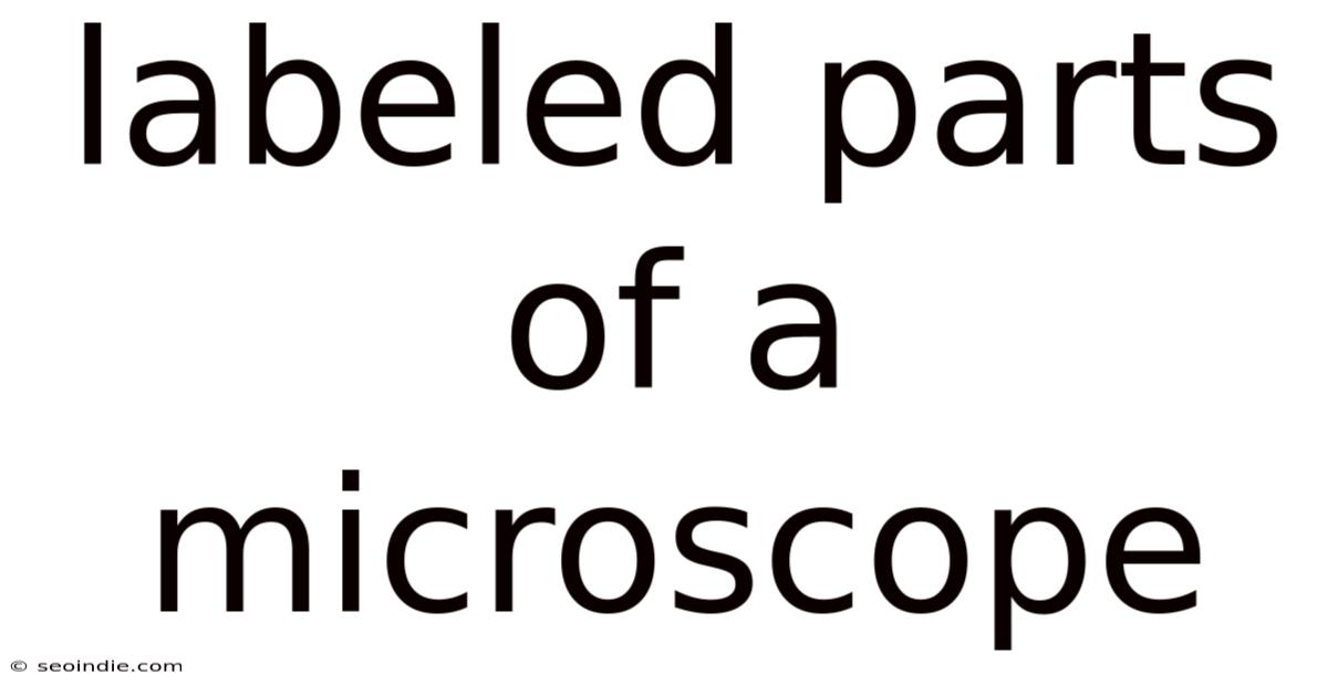 Labeled Parts Of A Microscope