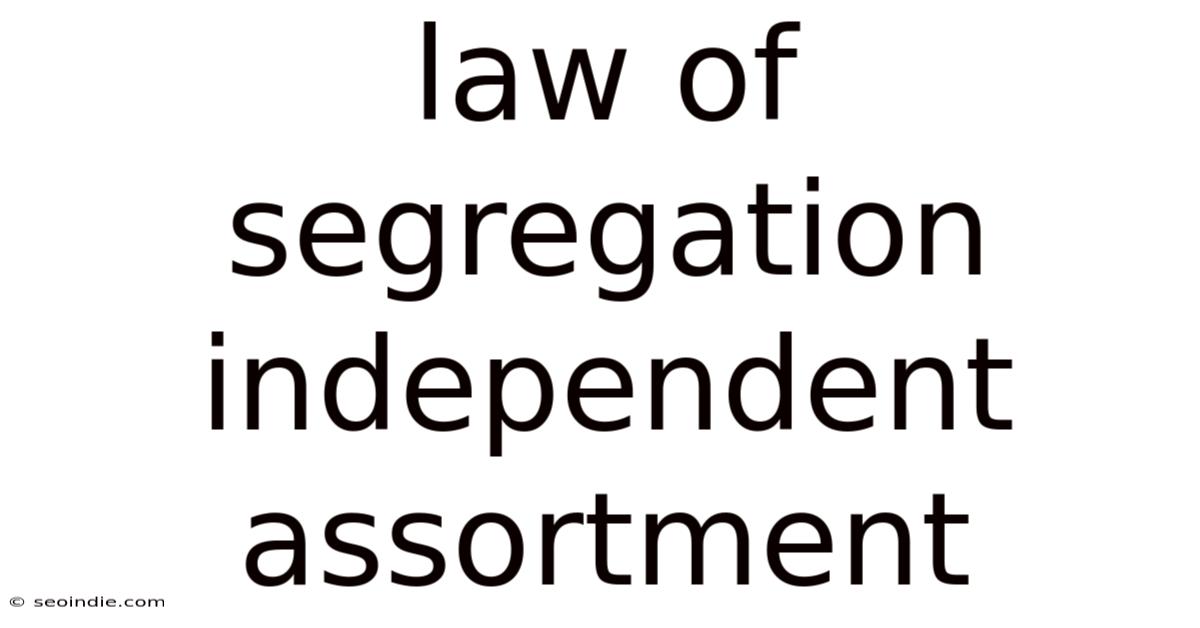 Law Of Segregation Independent Assortment