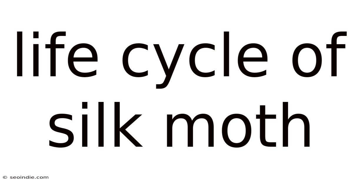 Life Cycle Of Silk Moth