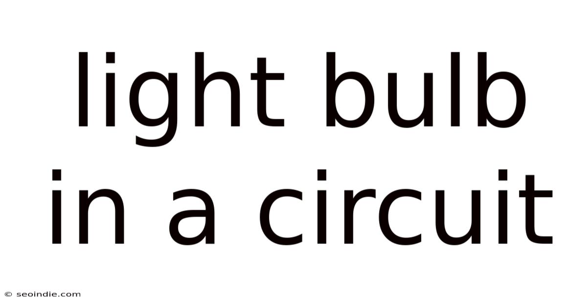 Light Bulb In A Circuit