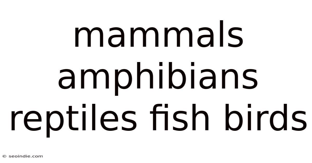 Mammals Amphibians Reptiles Fish Birds