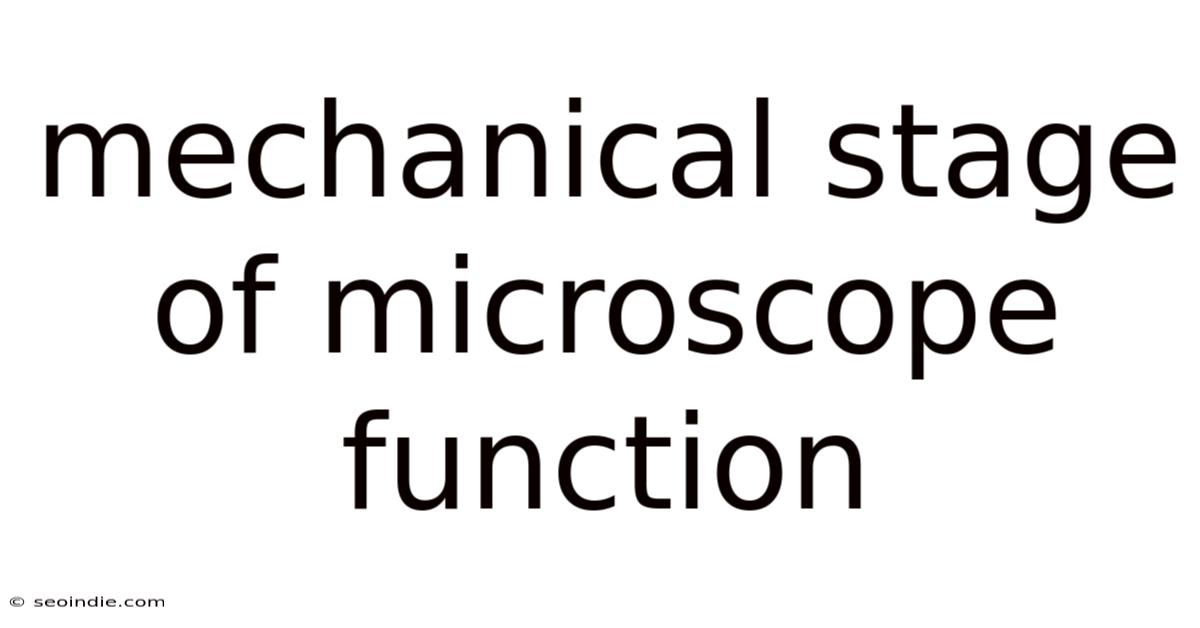 Mechanical Stage Of Microscope Function