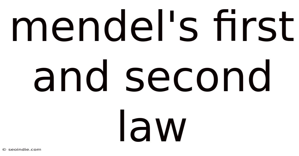 Mendel's First And Second Law