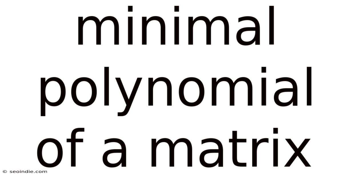 Minimal Polynomial Of A Matrix