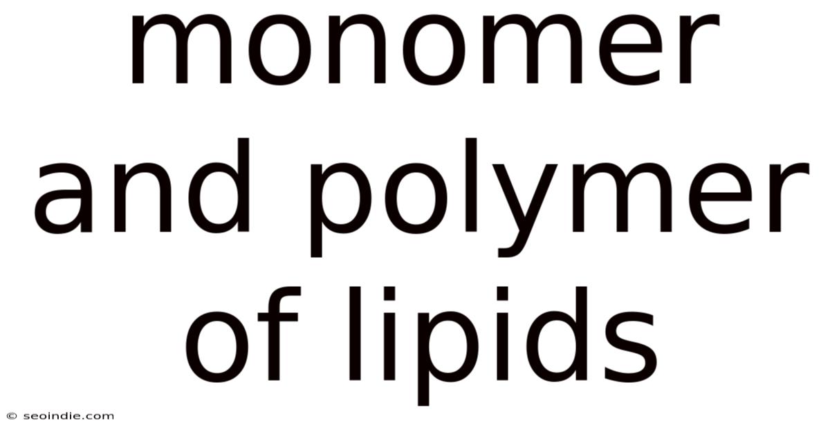Monomer And Polymer Of Lipids