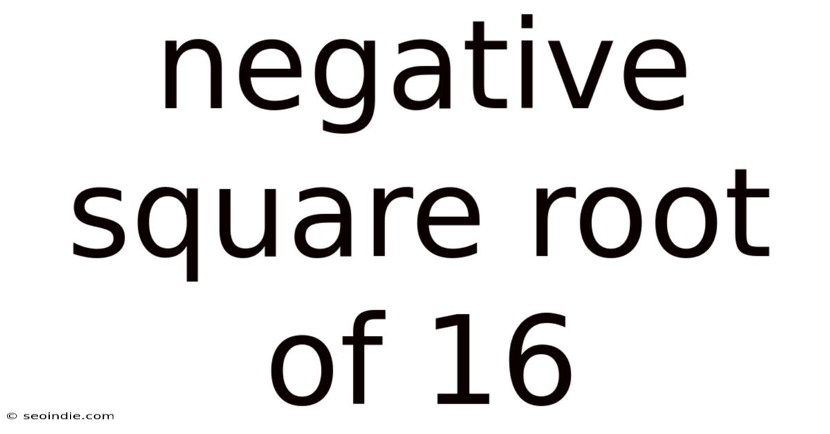 Negative Square Root Of 16